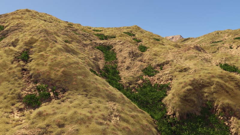 Final placement of vegetation.